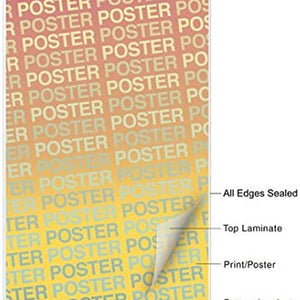 Laminated Be Stronger than Your Excuses Perseverance Determination Perseverance Strength Resilience Dedication Hustle Grind Ambition Motivational Poster Dry Erase Wall Art 24X36
