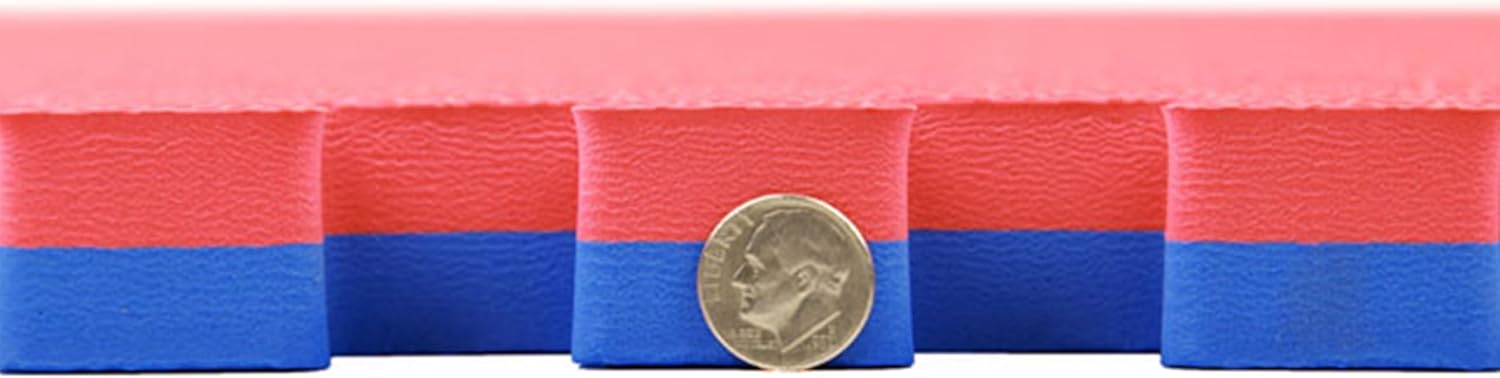 Premium 1" Thick Reversible Foam Interlocking Tiles - Perfect for Yoga, Gymnastics, MMA & Jiu Jitsu Training - Available in 3'X3' & 2'X2' Sizes