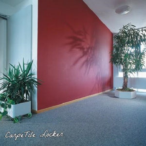 CarpeTile Locker - FITFLOORS...Rubber Floors & more 